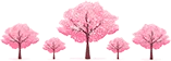 可愛樹林分割線